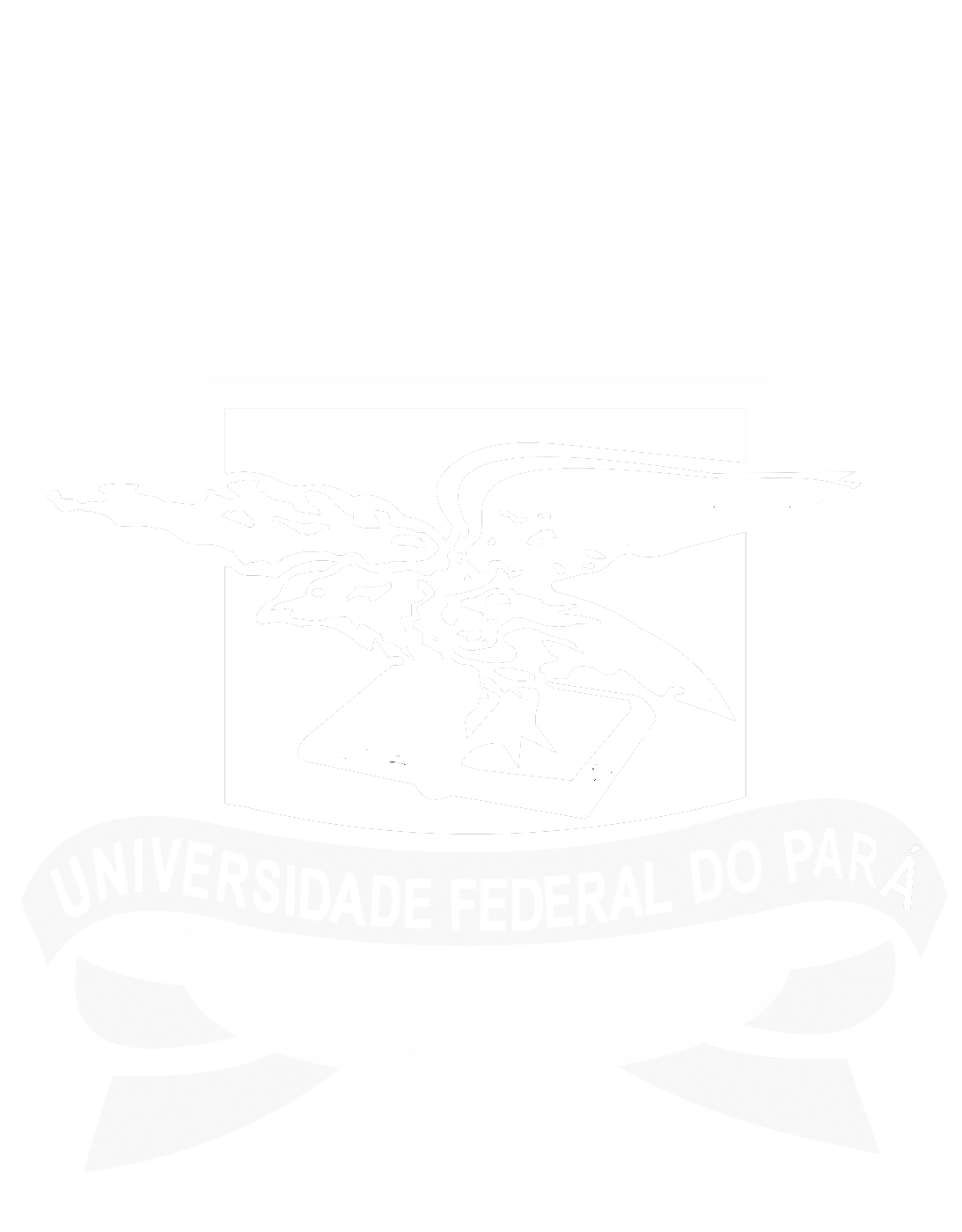 Logo UFPA